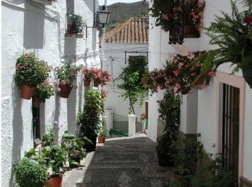 "El Porton" Apartamento Borge Exterior foto